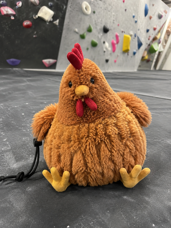 “Honestly way cuter in person than I expected lol. I’ve been bringing it to the gym for a couple sessions now and it actually holds a good amount of chalk. The fur picked up some chalk pretty fast but I kinda expected that. Definitely gets a lot of comments at the gym too.